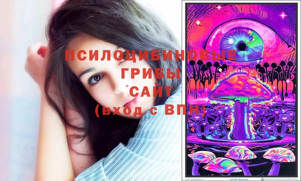 ешки Вязники